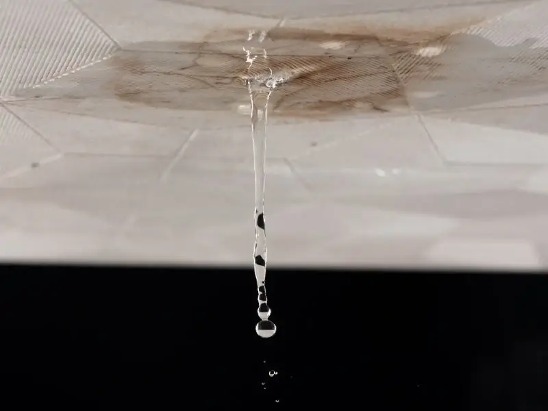 roof leak repair service Caloundra roof leak repair service Caloundra