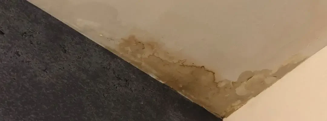 How to Tell If You Have a Hidden Water Leak