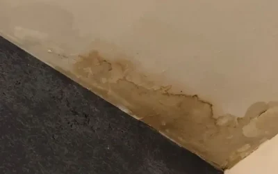 How to Tell If You Have a Hidden Water Leak